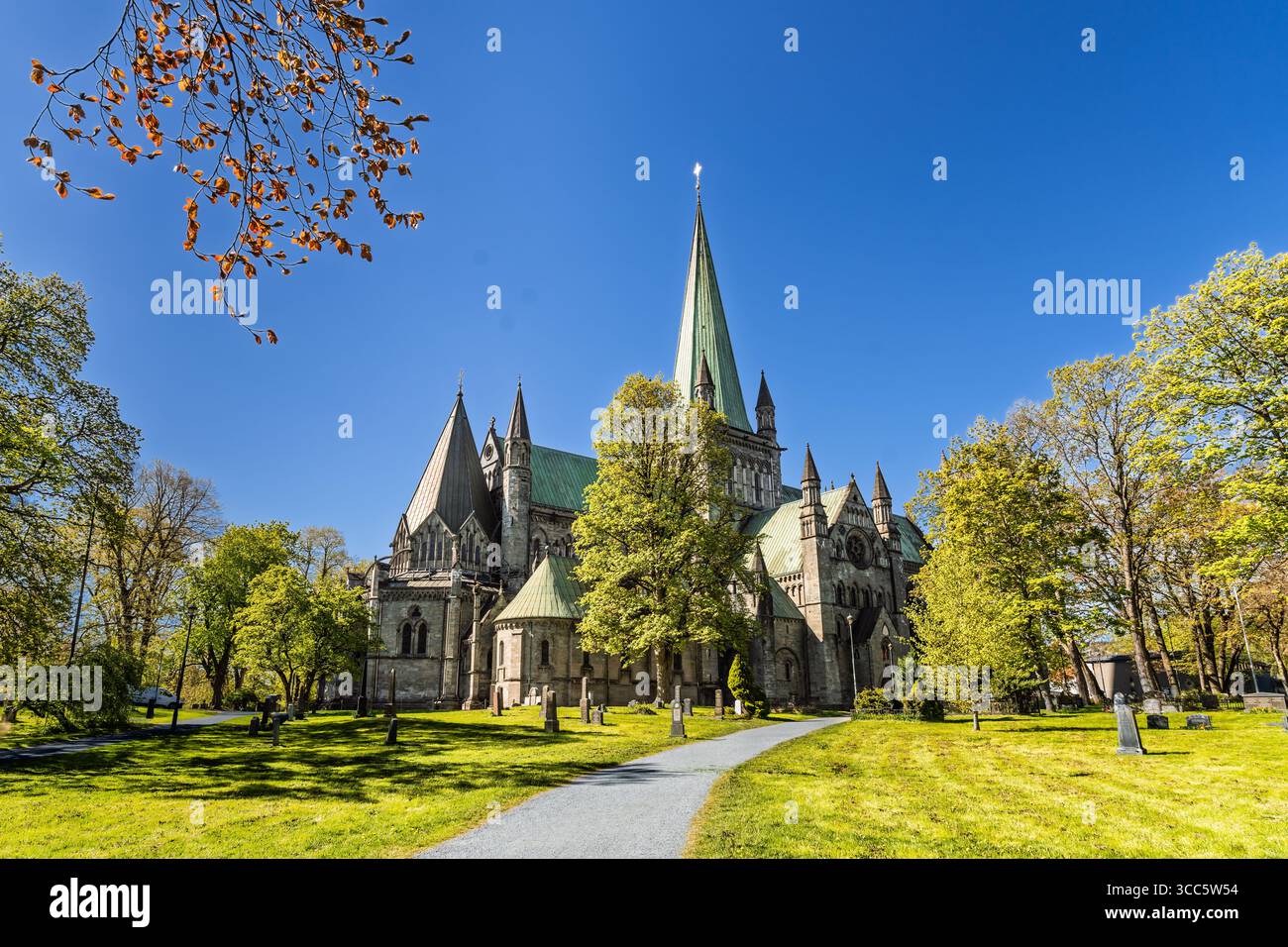 Maestosa cattedrale in stile gotico con intricati dettagli architettonici, illuminata dalla luce del sole contro un cielo blu, circondata da alberi e una culla aperta Foto Stock