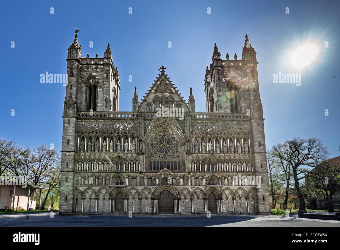 Maestosa cattedrale in stile gotico con intricati dettagli architettonici, illuminata dalla luce del sole contro un cielo blu, circondata da alberi e una culla aperta Foto Stock