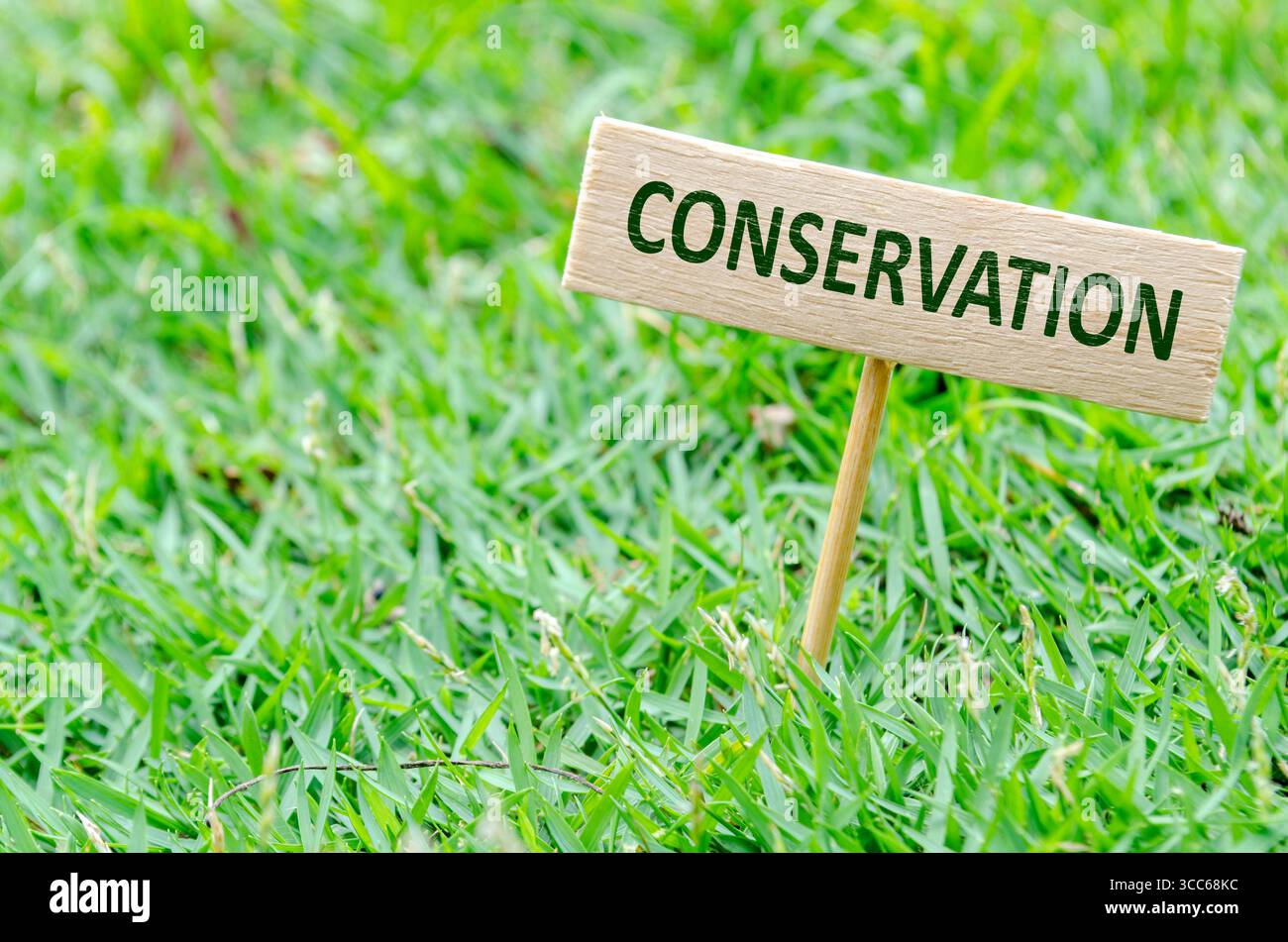 CONSERVAZIONE, blocco di legno singolo con scritta stampata su sfondo erba che promuove la consapevolezza della conservazione e la tutela dell'ambiente. Foto Stock