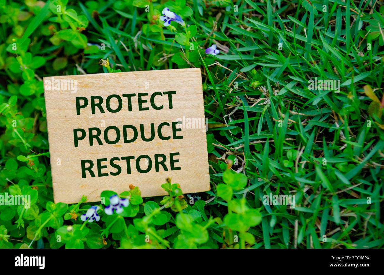 PROTEGGI, PRODUCI, RIPRISTINA, cubo di legno con un messaggio di conservazione posto sullo sfondo dell'erba che promuove la protezione e il ripristino dell'ambiente. Foto Stock