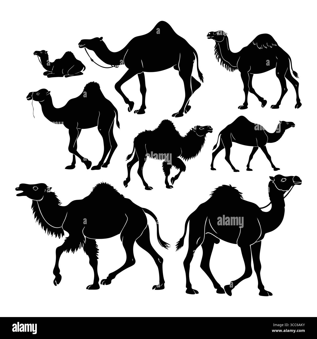 Silhouette Collection di cammelli con varie pose e stili Illustrazione Vettoriale