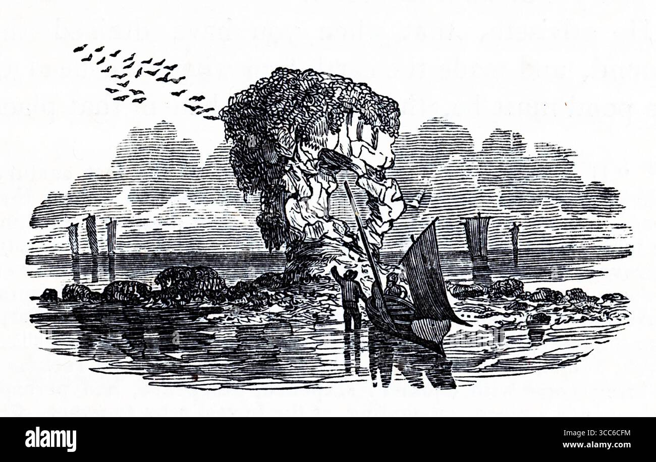 Vignetta costiera incisa con un'isola rocciosa scoscesa che si innalza dalle acque calme, la sua superficie è intemprata e scarsamente vegetata. Due figure in avvicinamento a una piccola imbarcazione, una con un bastone, suggerendo la navigazione o la pesca. I gabbiani ruotano in alto e rocce sparse punteggiano il primo piano. La composizione evoca la solitudine marittima e il naturalismo osservazionale. Da una selezione di incisioni stampate in rame e legno pubblicate da Henry Kent Causton nel 1851 come parte del libro di Izaak Walton e Charles Cotton, The Compleat Angler. Foto Stock