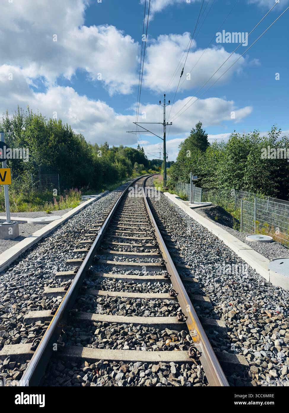 I binari del treno conducono in lontananza sotto un cielo blu brillante con soffici nuvole e vegetazione lussureggiante. - Immagine stock catturata con smartphone