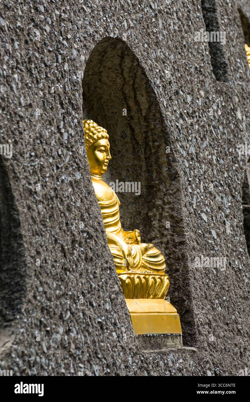 Una splendida statua dorata di Buddha si trova pacificamente in una nicchia di pietra, simboleggiando la tranquillità e l'illuminazione spirituale. Il contrasto tra oro e. Foto Stock