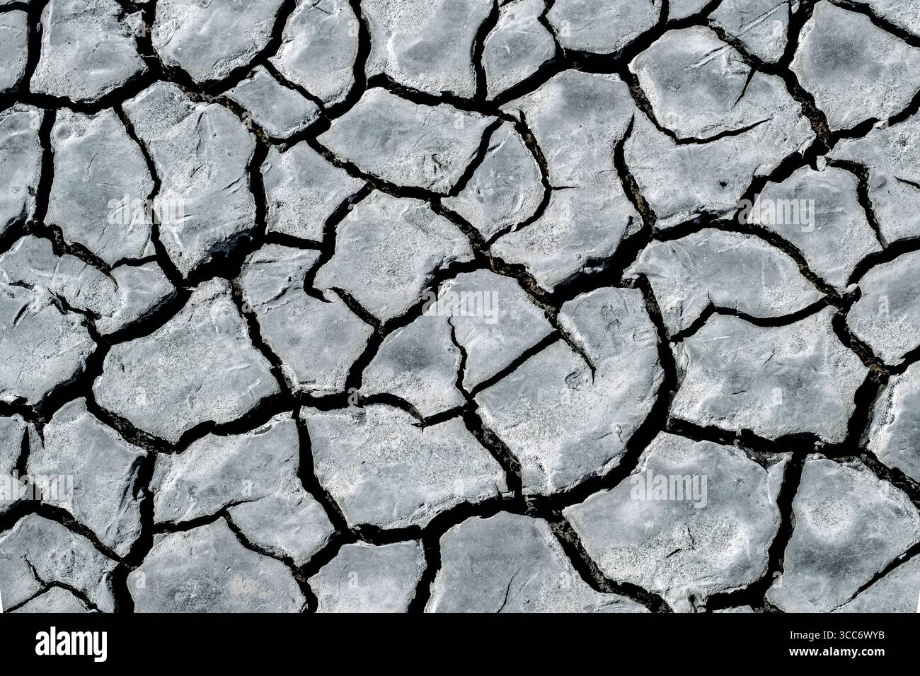 Fondo naturale di crack fango proveniente dalla Valle di Comacchio. Provincia di Ferrara, Emilia-Romagna, Italia Foto Stock