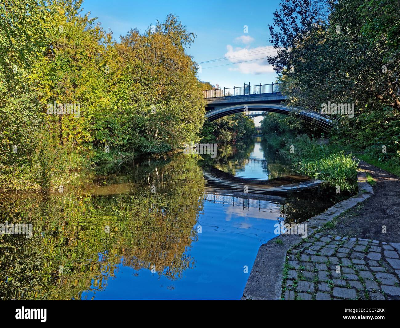 Regno Unito, South Yorkshire, Sheffield, Supertram Bridge sulla Sheffield and South Yorkshire Navigation. Foto Stock