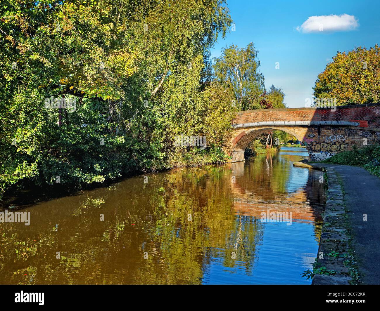 Regno Unito, South Yorkshire, Sheffield, Bacon Lane Bridge sulla Sheffield and South Yorkshire Navigation. Foto Stock