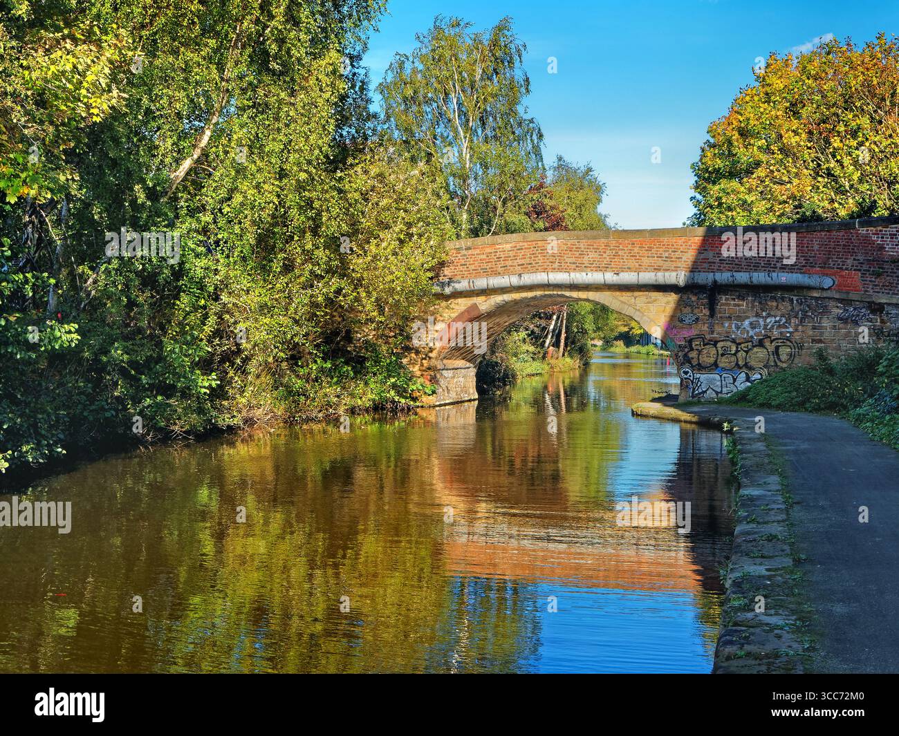 Regno Unito, South Yorkshire, Sheffield, Bacon Lane Bridge sulla Sheffield and South Yorkshire Navigation. Foto Stock