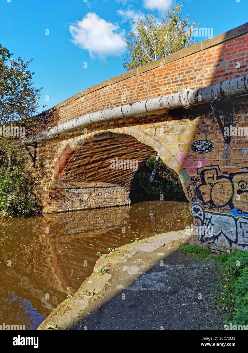 Regno Unito, South Yorkshire, Sheffield, Bacon Lane Bridge sulla Sheffield and South Yorkshire Navigation. Foto Stock