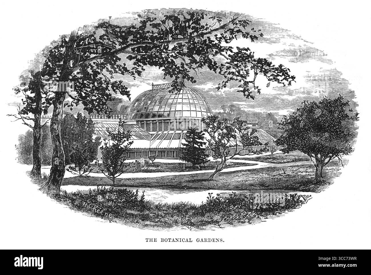 I Giardini Botanici di Belfast, Irlanda del Nord. Black and White Illustration from Our Own Country Vol 4 pubblicato da Cassell, Petter, Galpin & Co. Alla fine del XIX secolo. Foto Stock