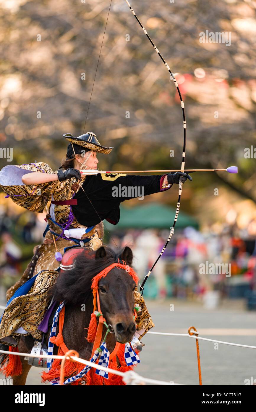 Un abile arciere in abbigliamento tradizionale esegue Yabusame, una cerimonia giapponese di tiro con l'arco a cavallo, puntando un arco mentre cavalca in un ambiente all'aperto, Foto Stock Un abile arciere in abbigliamento tradizionale esegue Yabusame, una cerimonia giapponese di tiro con l'arco a cavallo, puntando un arco mentre cavalca in un ambiente all'aperto, Foto Stock