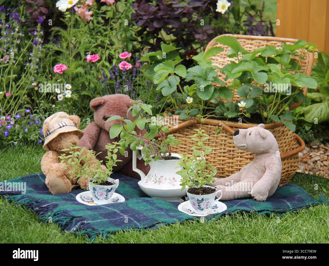 Un picnic con orsacchiotto su una coperta da giardino. Foto Stock