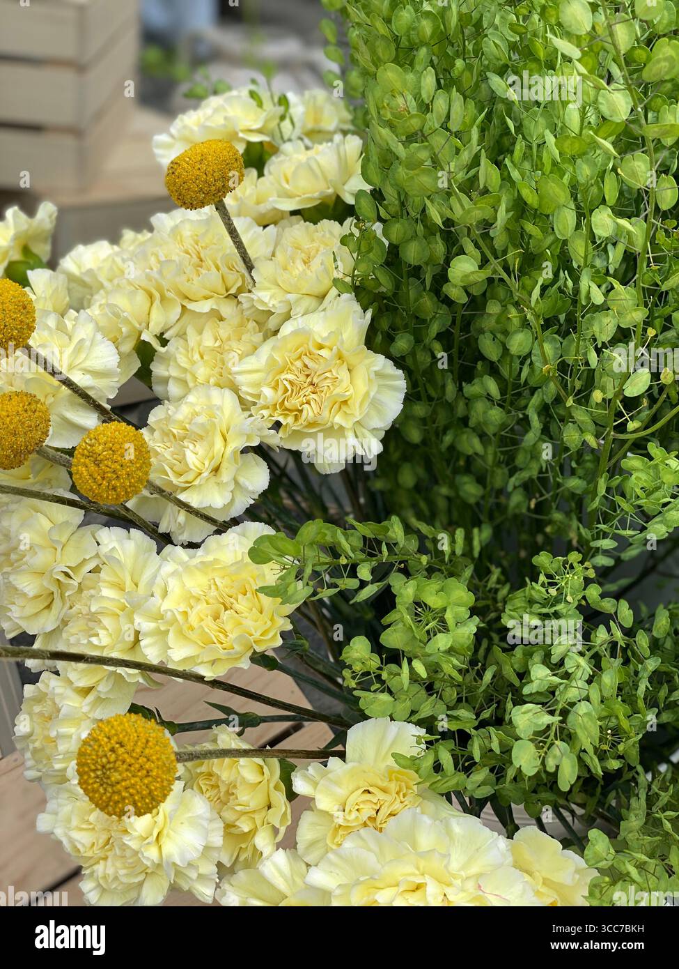 Garofani gialli e vegetazione verde in fiore, perfetti come un vibrante sfondo primaverile. Foto mobile Foto Stock