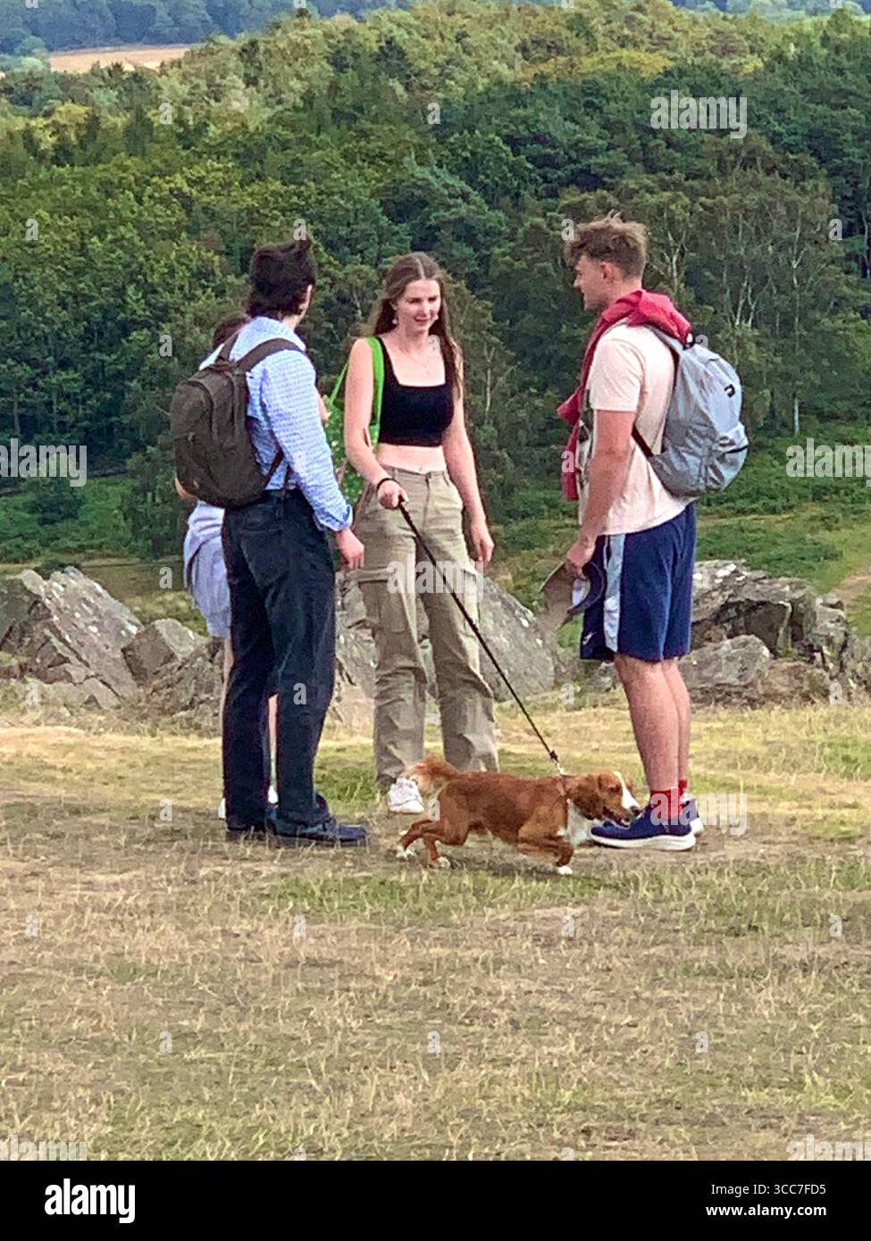 Bradgate Park Newtown Linford Leicester Inghilterra colline, storia della fauna selvatica Regno Unito Leicestershire boschi paesaggio boschivo rocce rocciose paesaggi suggestivi - Immagine stock catturata con smartphone