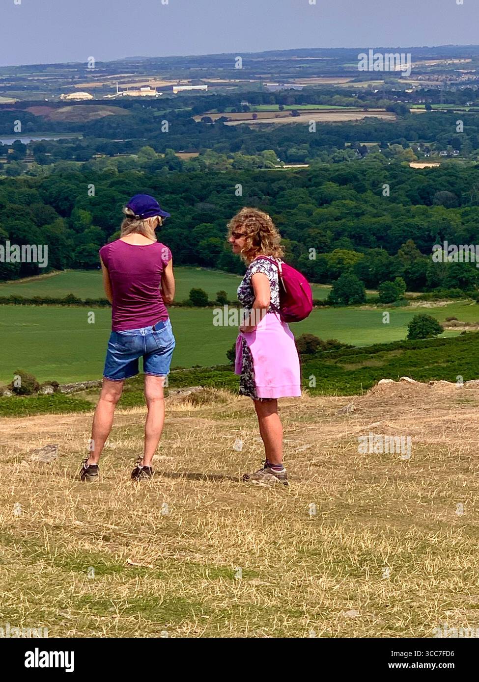Bradgate Park Newtown Linford Leicester Inghilterra colline, storia della fauna selvatica Regno Unito Leicestershire boschi paesaggio boschivo rocce rocciose paesaggi suggestivi - Immagine stock catturata con smartphone