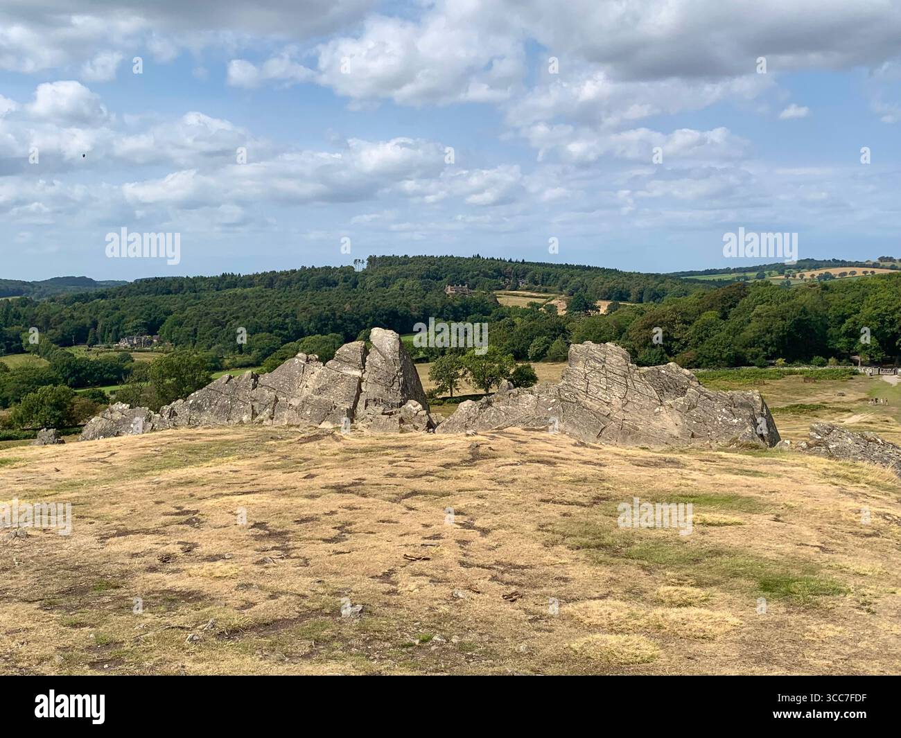 Bradgate Park Newtown Linford Leicester Inghilterra colline, storia della fauna selvatica Regno Unito Leicestershire boschi paesaggio boschivo rocce rocciose paesaggi suggestivi - Immagine stock catturata con smartphone