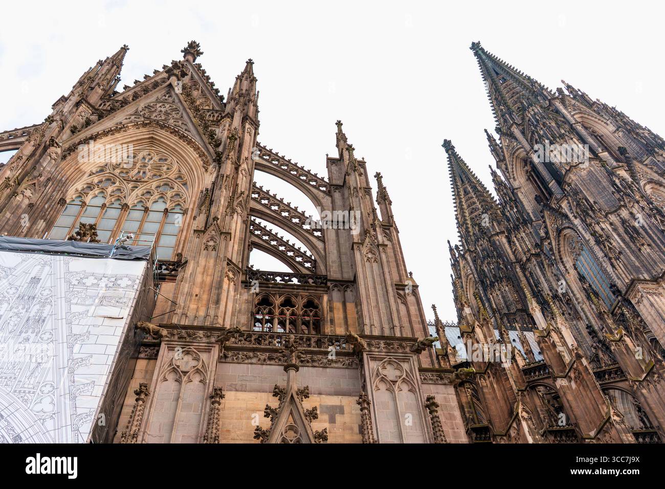 Colonia, Germania - 15 giugno 2025: Imponente vista dell'intricata architettura gotica della cattedrale di Colonia, con dettagliate sculture in pietra e torreggianti spir Foto Stock