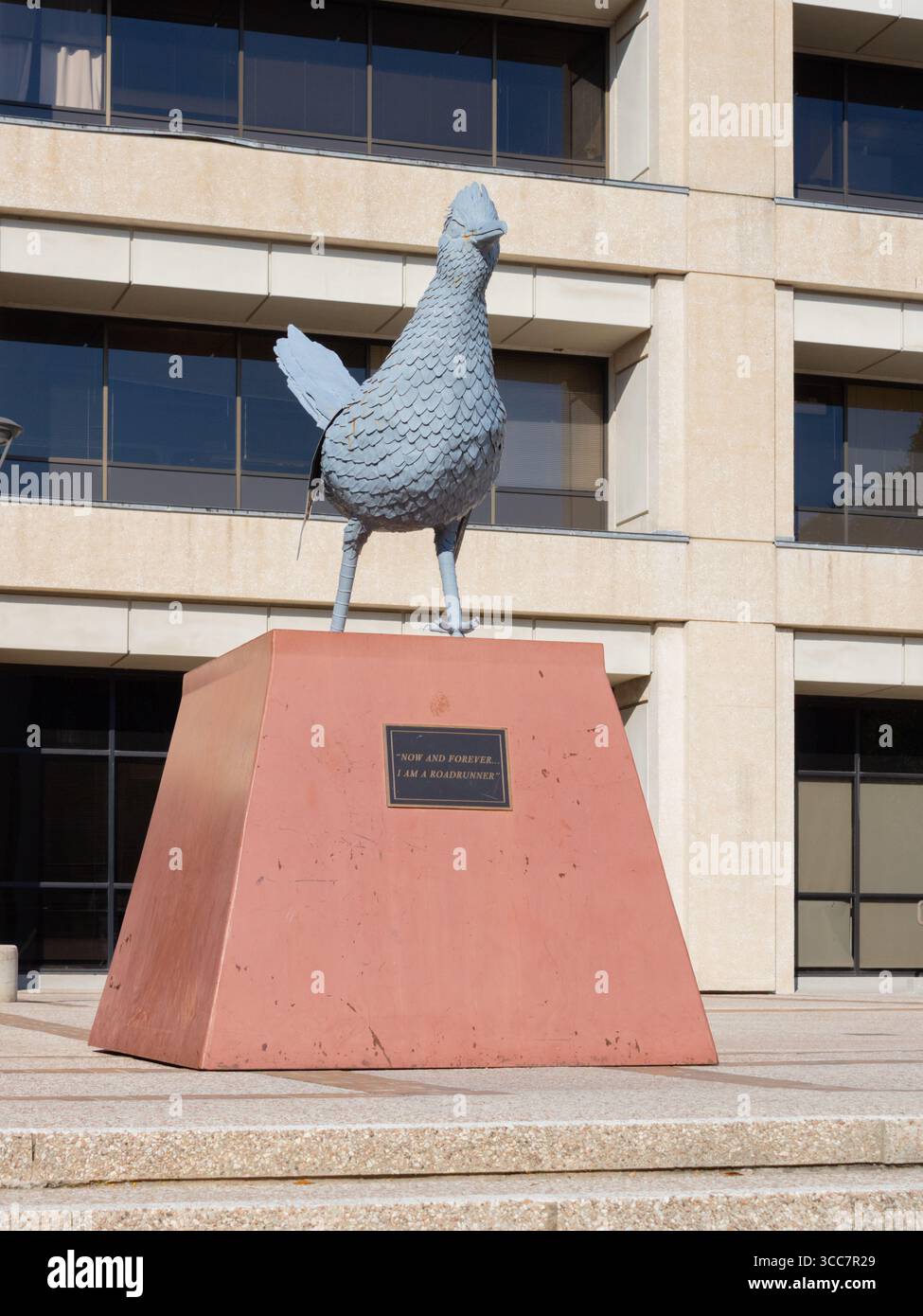 Vista frontale della statua di Rowdy The Roadrunner presso l'Università del Texas a San Antonio, Stati Uniti. Foto Stock
