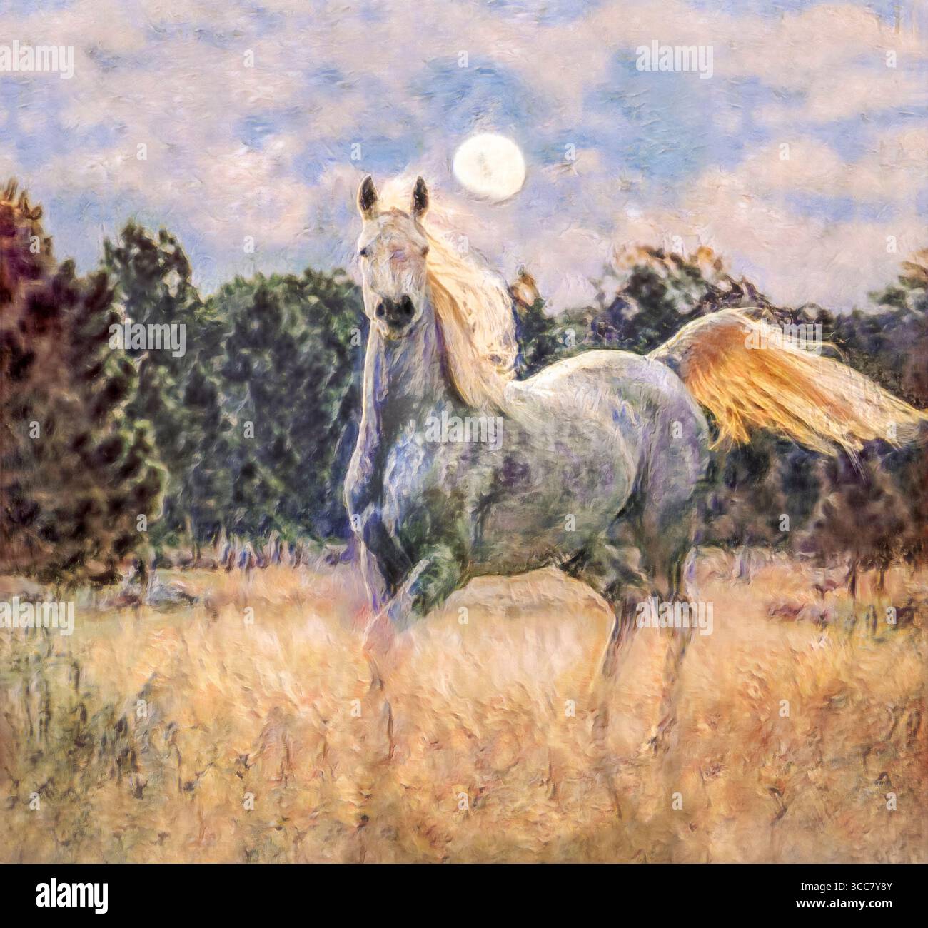 Arte fotografica digitale stilizzata,. Trote di cavalli arabi femminili adulte che attraversano un alto prato erboso con luna piena Foto Stock