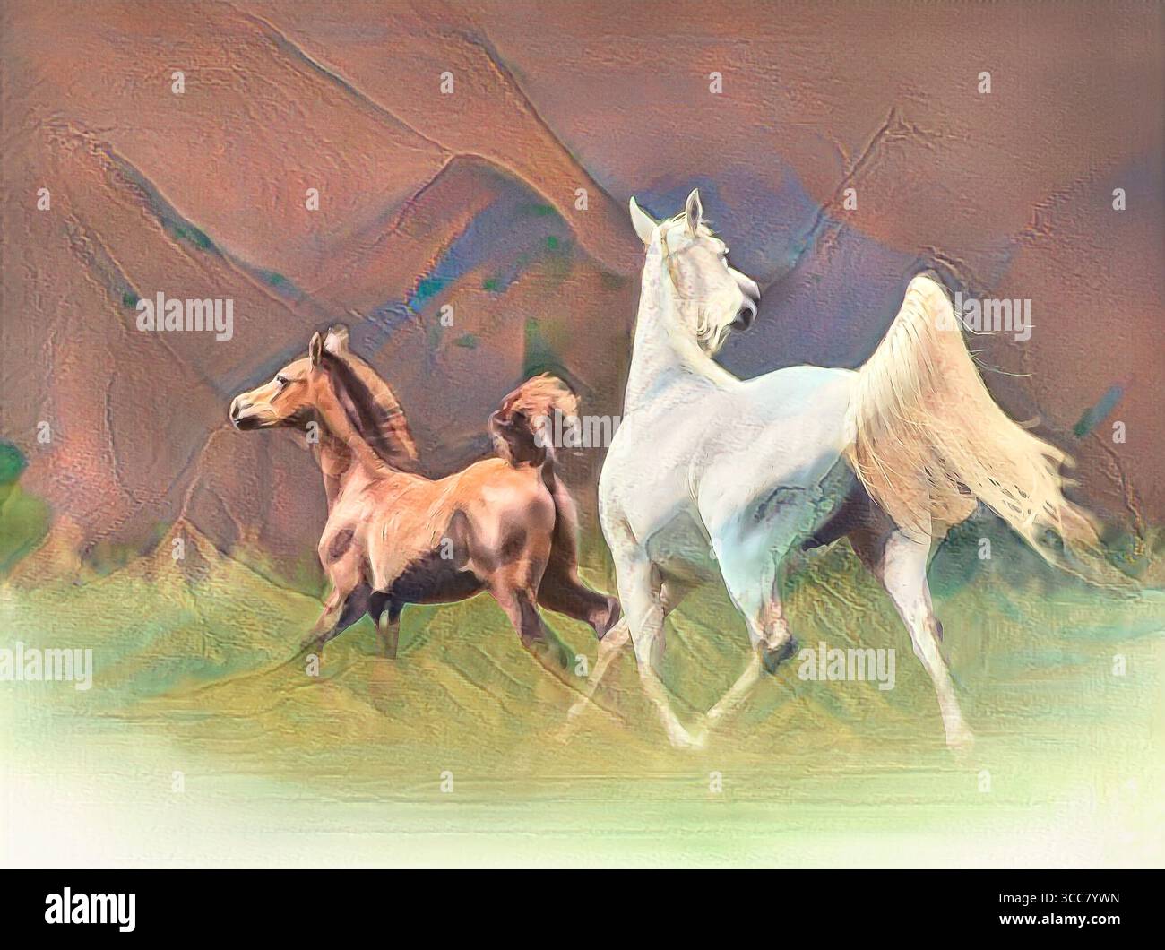 Una femmina adulta di mandria araba e un cucciolo di puledri coda di bandiera mentre si allontana. Foto artistiche digitali stilizzate. Foto Stock