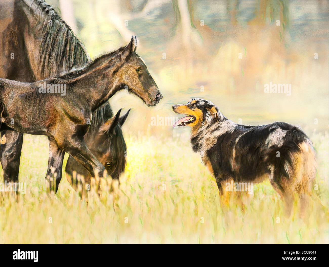 Il tipo di cane Austrailian incontra il Percheron Draft Horse mare con il puledro neonato. Foto artistiche digitali stilizzate. Foto Stock