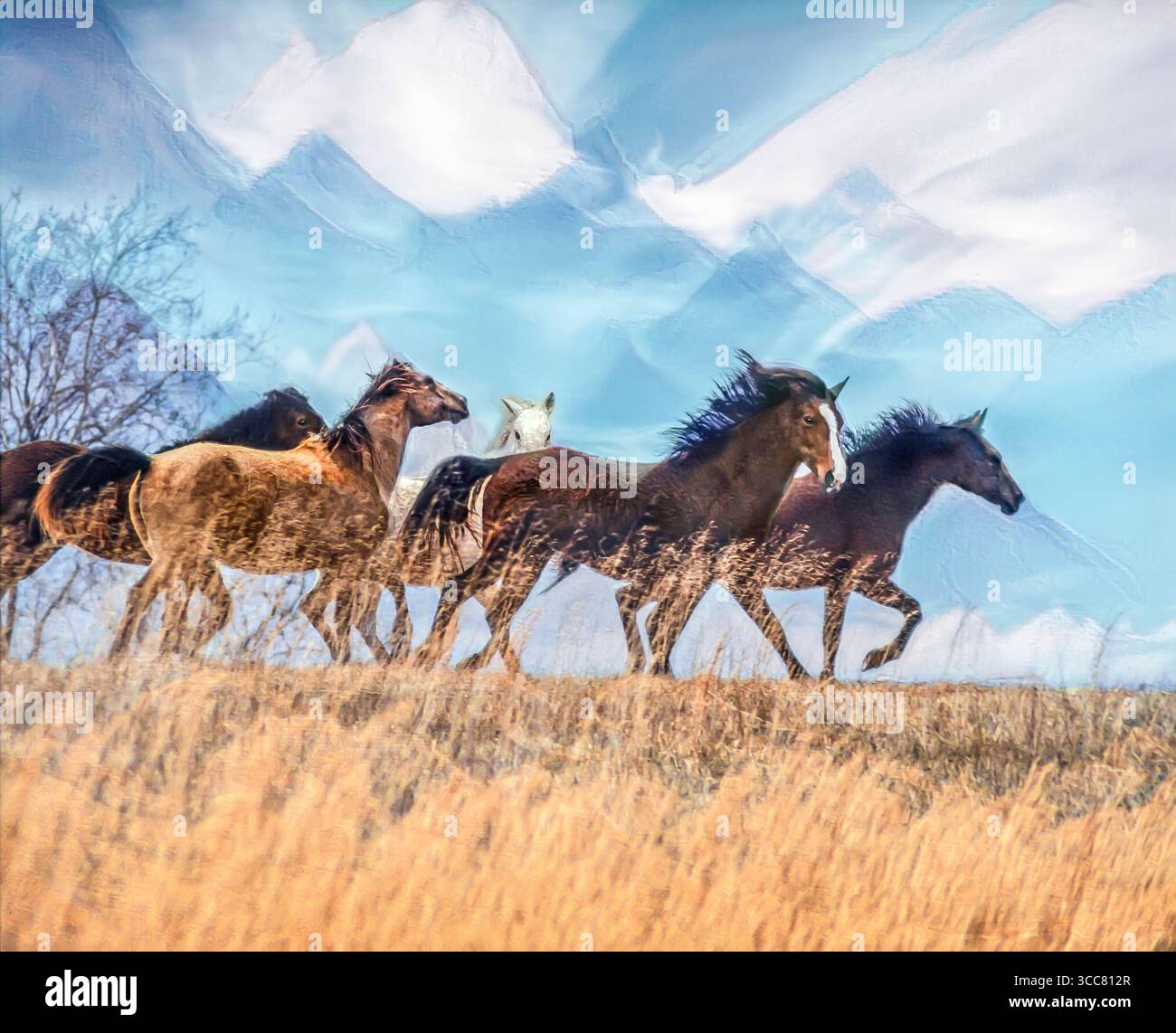 Branco di cavalli Bashkir Curly corrono attraverso Rise con il cielo blu invernale. Foto artistiche digitali stilizzate. Foto Stock