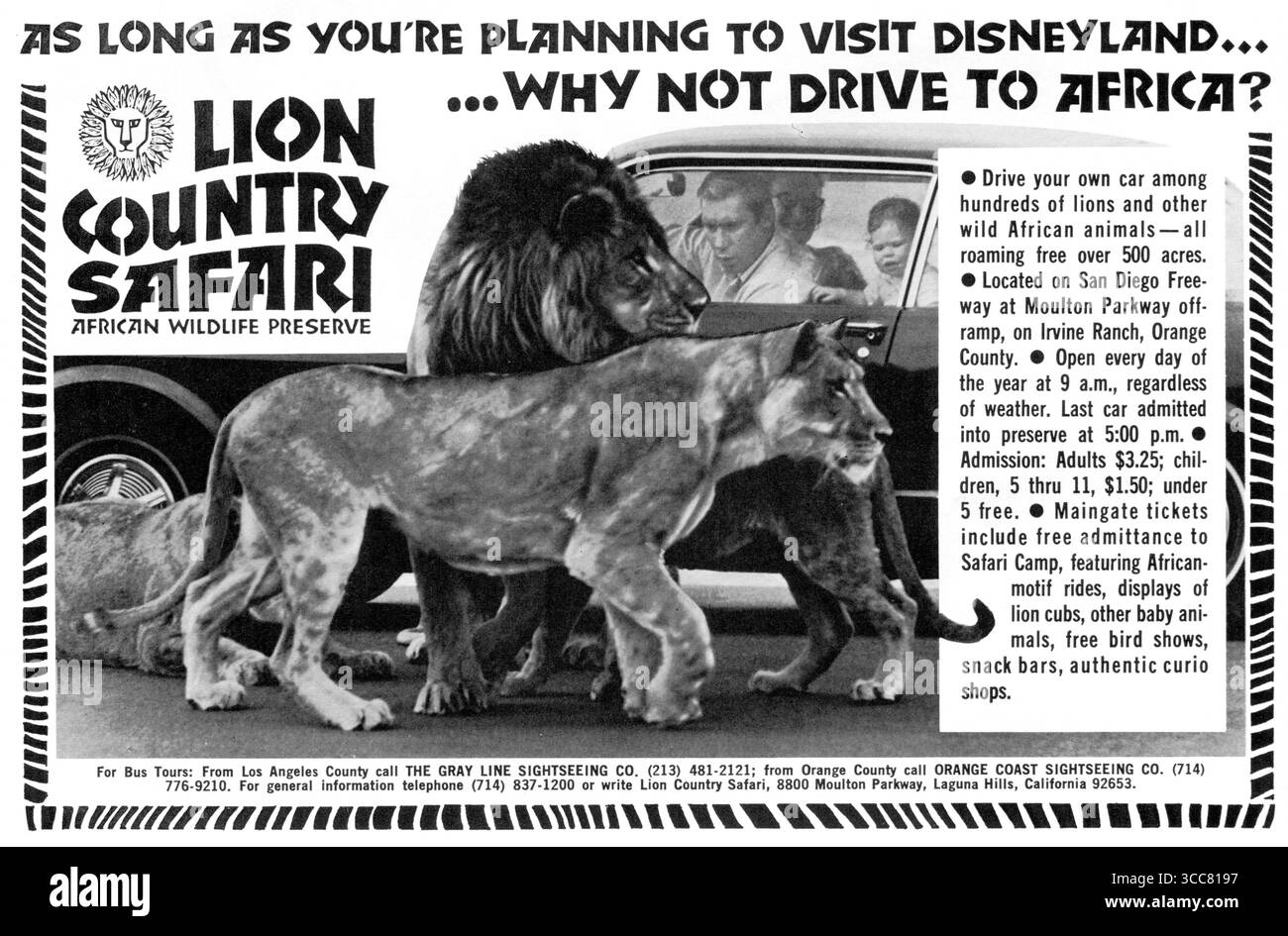 1972 Lion Country Safari Amusement Park California ad Foto Stock