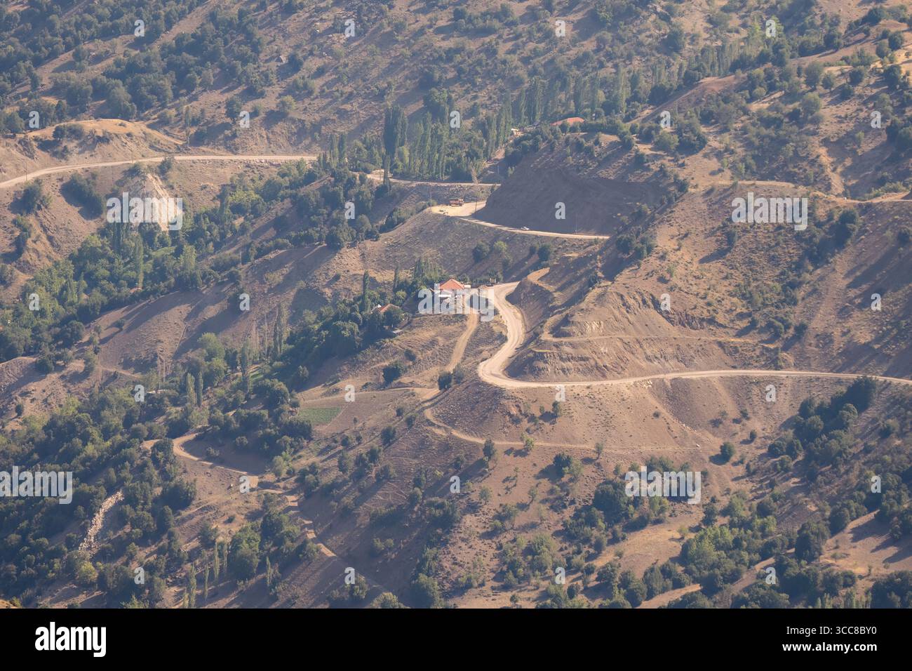 Paesaggio della foresta di cedri e strada sterrata Antalya Turchia Foto Stock