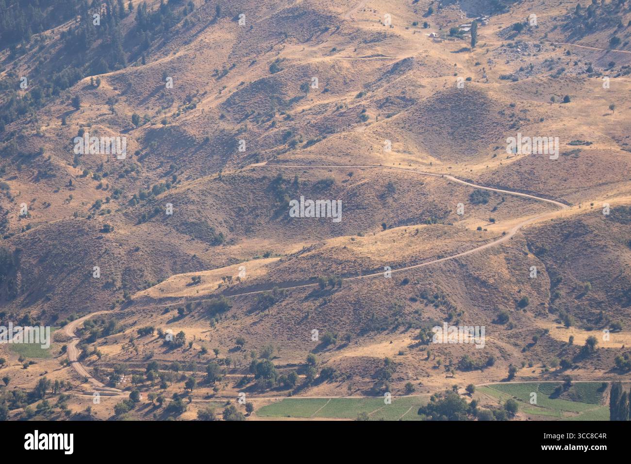 Paesaggio della foresta di cedri e strada sterrata Antalya Turchia Foto Stock