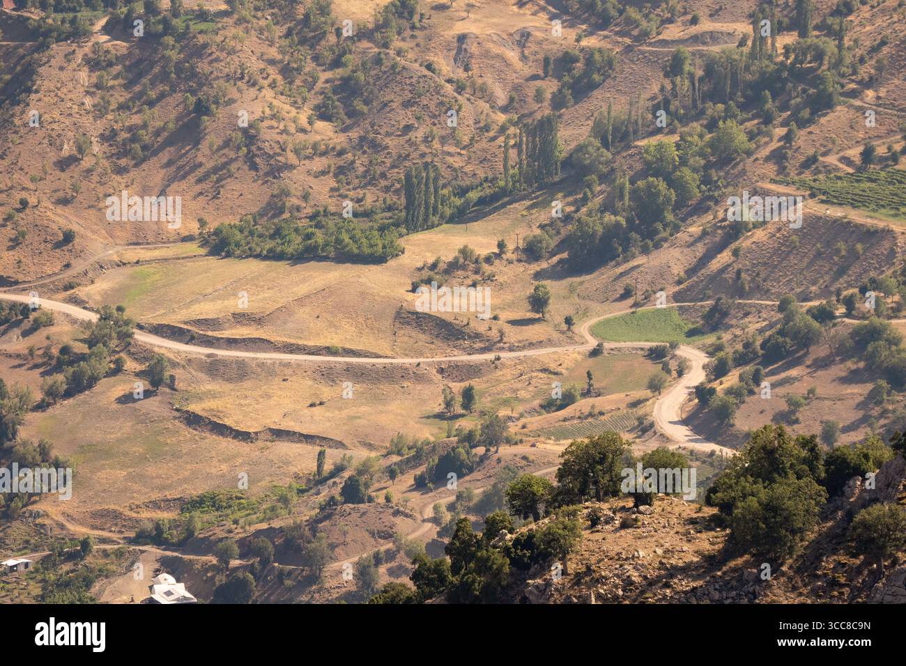 Paesaggio della foresta di cedri e strada sterrata Antalya Turchia Foto Stock