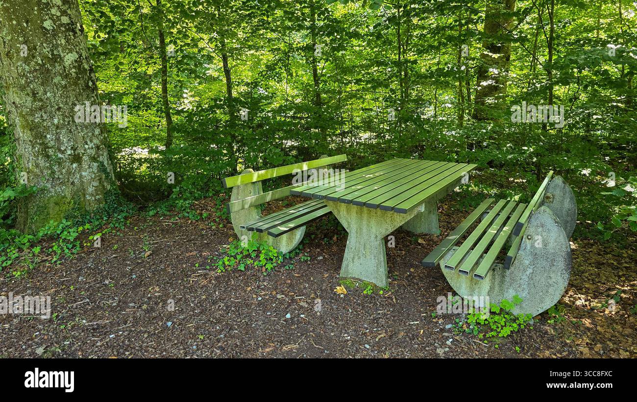 Il tavolo e due banchi in cemento e metallo si trovano nella foresta. Posto per picnic nella foresta in Germania Foto Stock