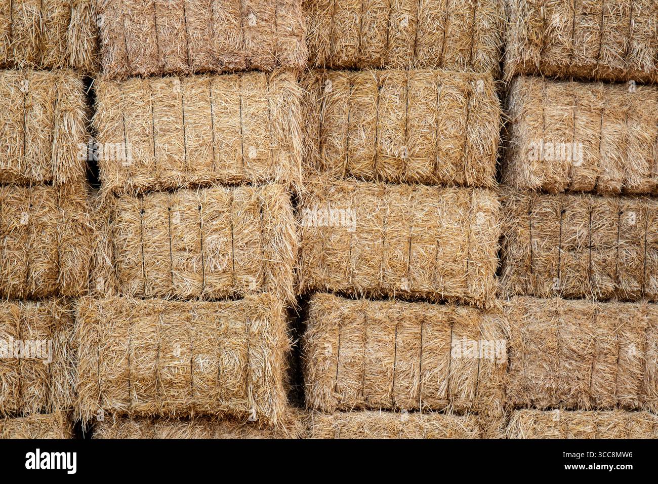 Ogni filamento presente, queste balle rettangolari cablate riempiono la cornice, raccontando la storia silenziosa dei campi essiccati al sole e dei lavori agricoli. Foto Stock