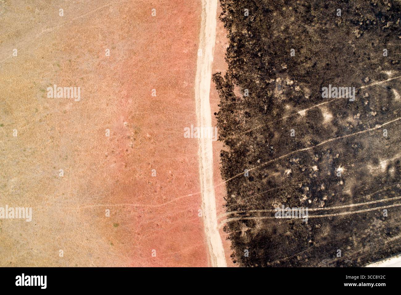 sforzi antincendio Foto Stock