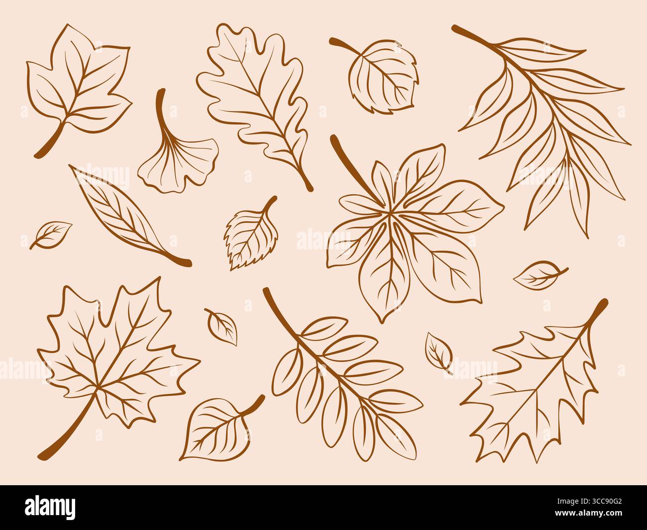 Le foglie autunnali sono un grande set artistico. Contorno del fogliame marrone. Illustrazione del contorno isolato vettoriale su sfondo beige Illustrazione Vettoriale