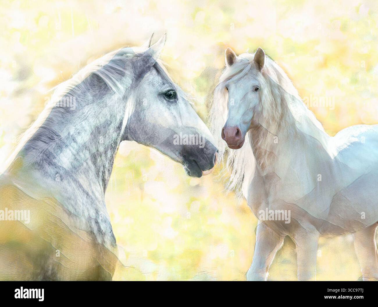 Lo stallone del cavallo White Draft americano saluta il cavallo Lusitano. Foto artistiche digitali stilizzate. Foto Stock