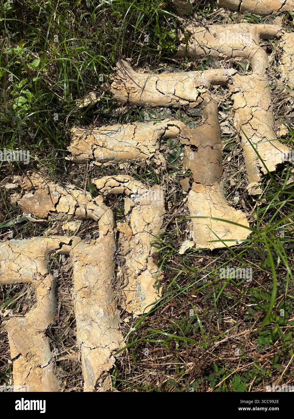 Fango essiccato dagli pneumatici dei trattori su un paddock di fattoria erboso Foto Stock
