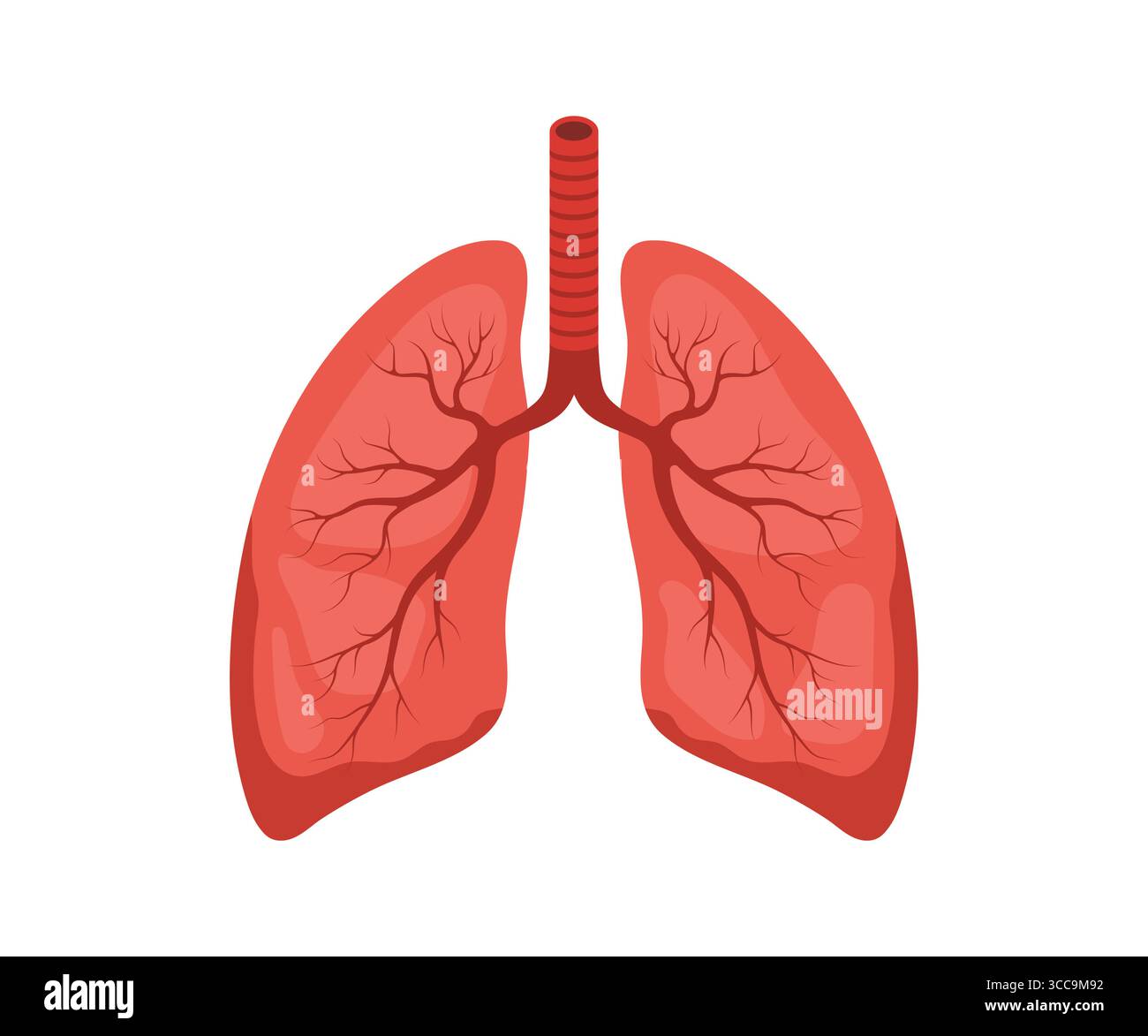 Icona polmone umano. Rosso e nero organo interno. Pulmonologia e anatomia. Illustrazione del vettore medico in stile cartoni animati piatto Illustrazione Vettoriale