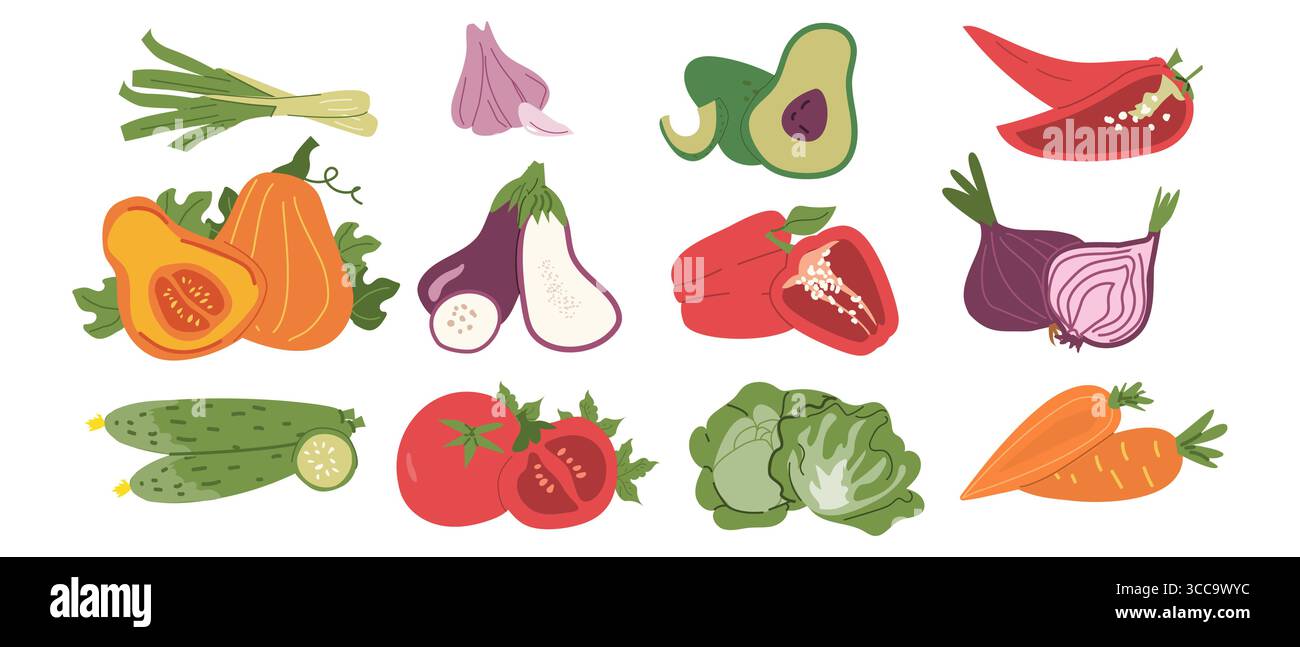 Variopinto assortimento di verdure fresche, tra cui avocado, pepe e carote. Illustrazione Vettoriale