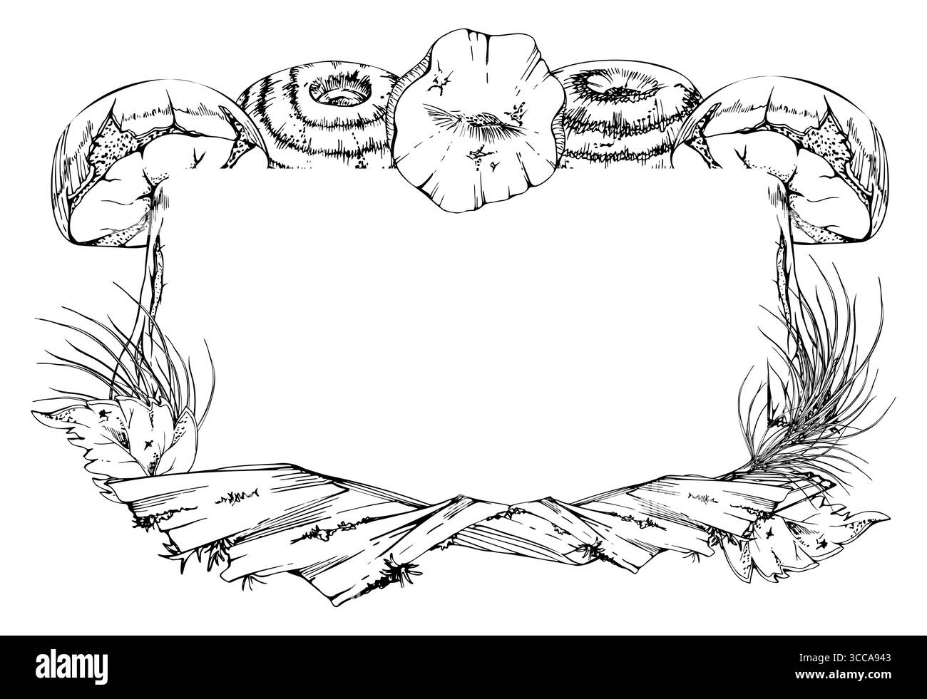 Bolete Russula fungo con tappo di latte sulla corteccia con crescita di muschio lichene, foglie autunnali cadute, aghi di pino. Copia la cornice spaziale disegnata a mano con inchiostro vettoriale. CEP Illustrazione Vettoriale