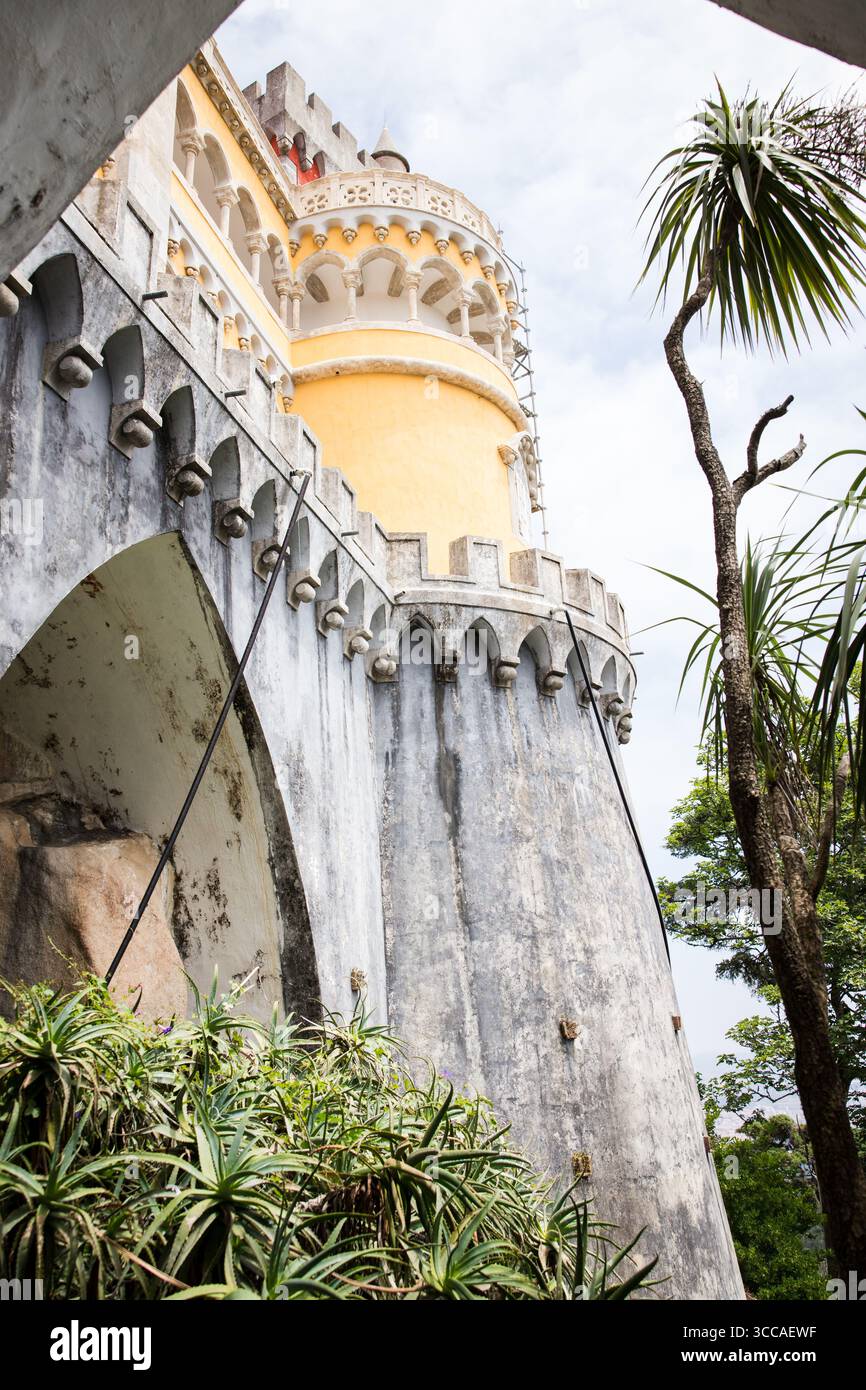 Vista della torre gialla del Palácio da pena e dei merli incorniciati da piante Foto Stock
