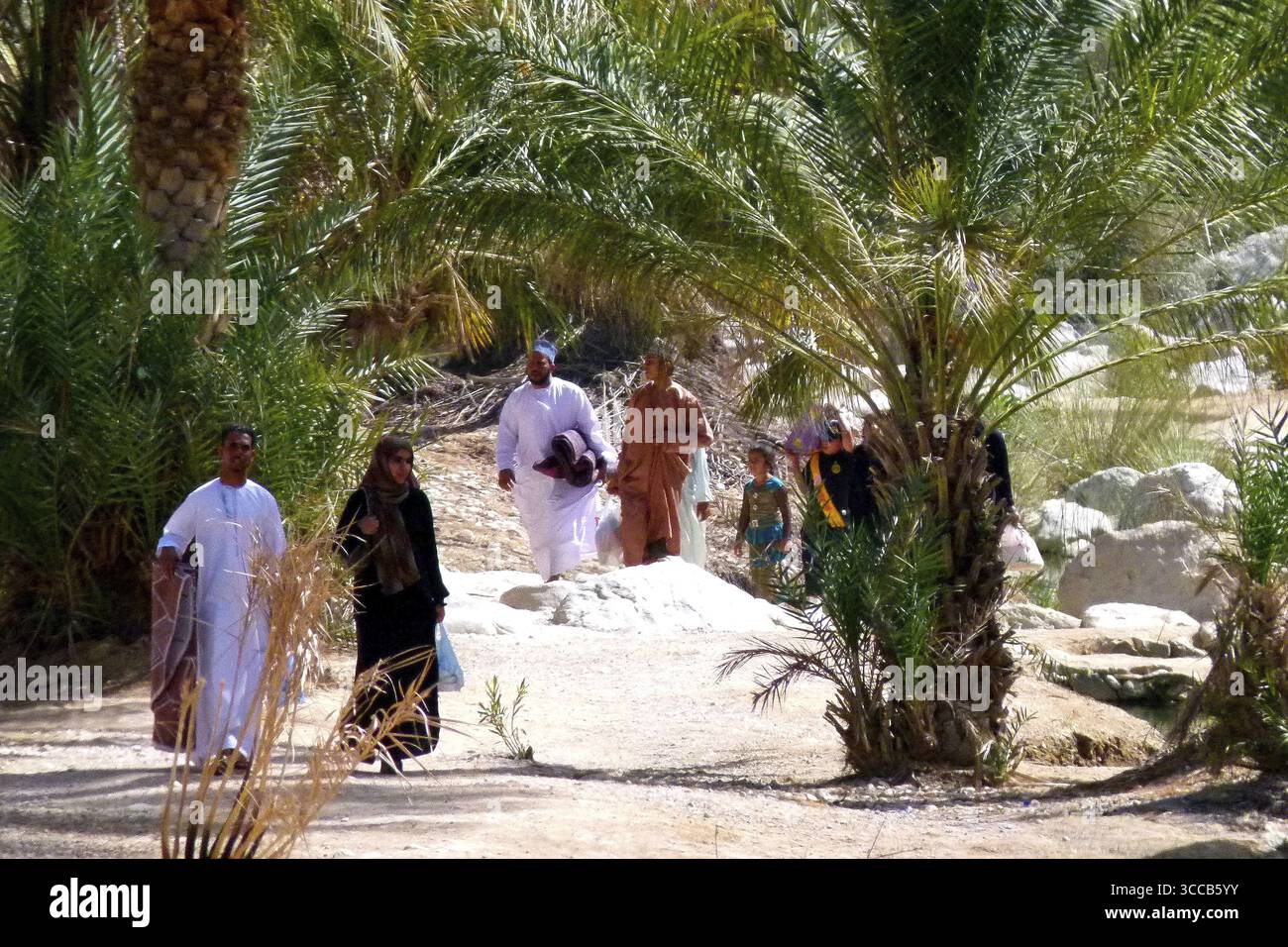 I visitatori dell'Oman si recano a un picnic sotto le palme a Wadi Bani Khalid, Oman Foto Stock