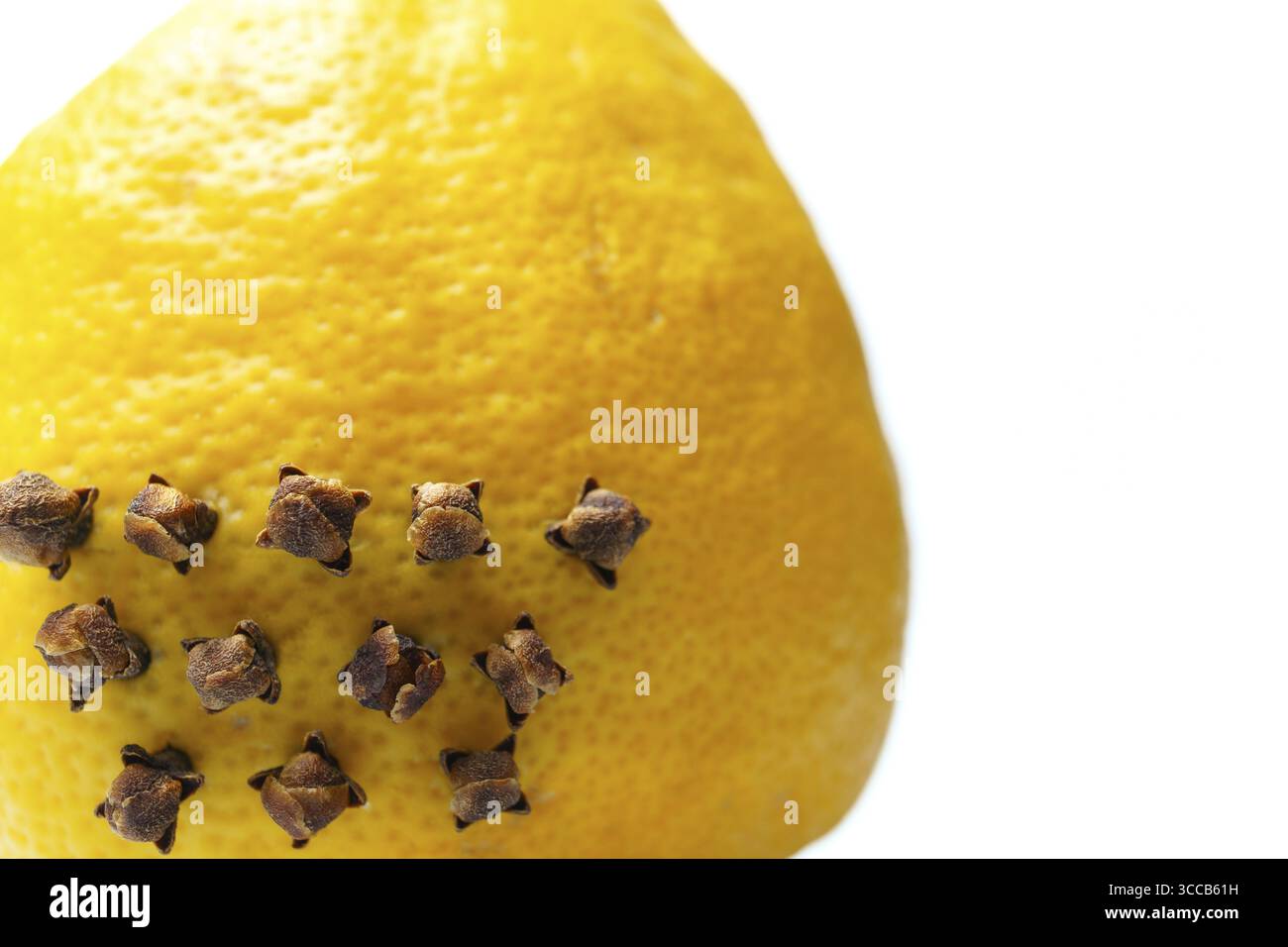 Chiodi di garofano aromatici che decorano un limone, aggiungendo un tocco di spezia e interesse visivo su uno sfondo bianco pulito Foto Stock