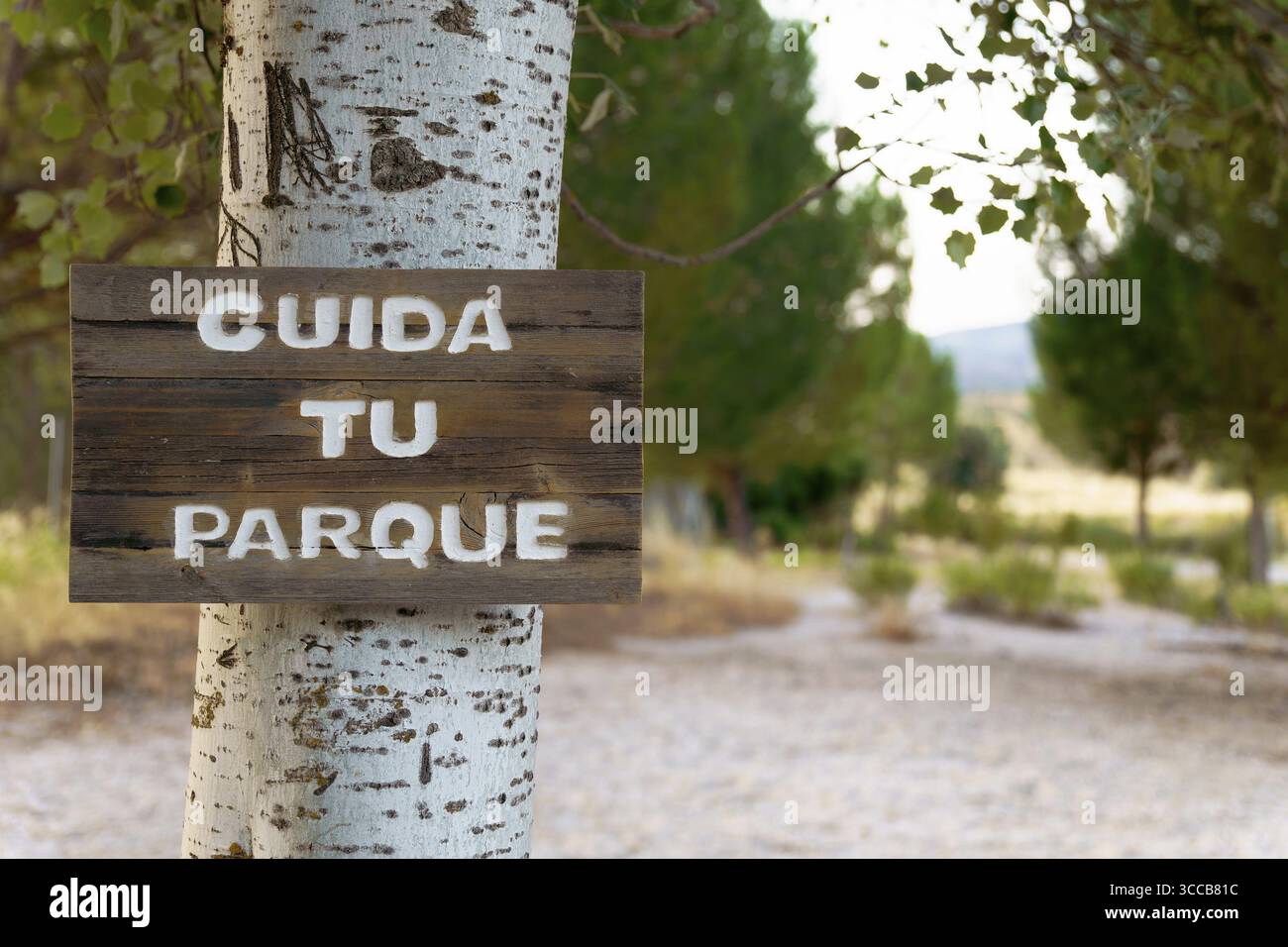 Cartello rustico in legno con il messaggio prenditi cura del tuo parco attaccato a un albero, promuovendo la consapevolezza e la responsabilità ambientale Foto Stock