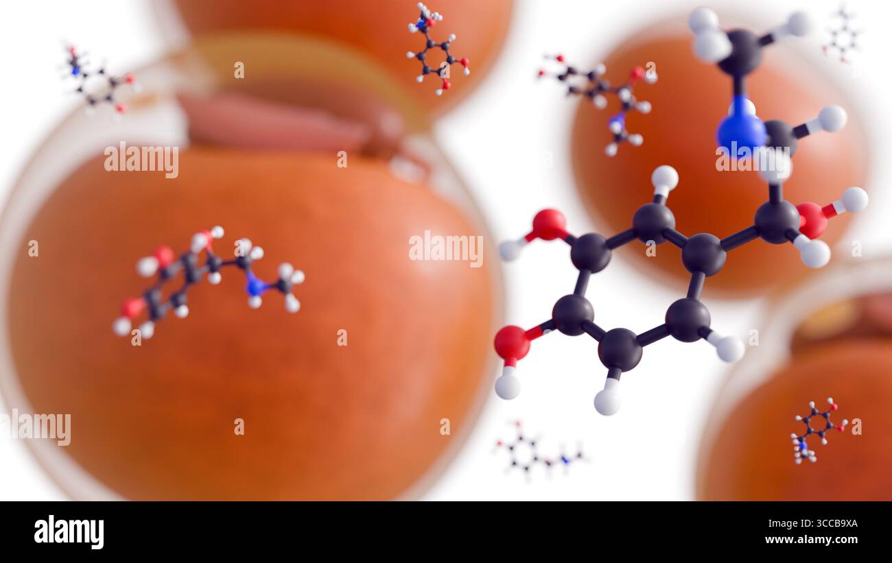 Una rappresentazione 3d delle molecole di adrenalina, nota anche come epinefrina, svolge un ruolo cruciale nel regolare il modo in cui il corpo immagazzina energia con le cellule adipose Foto Stock
