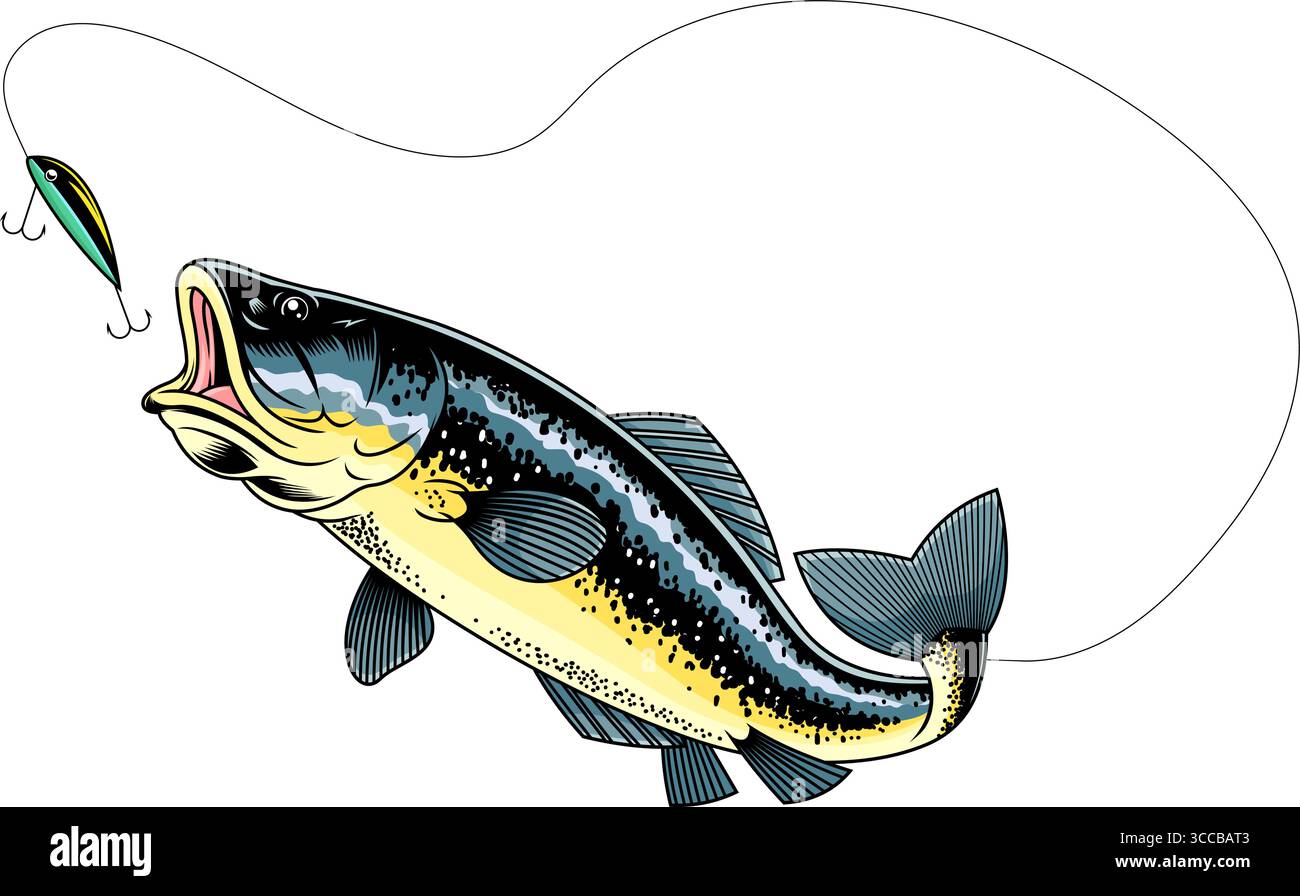 Largemouth Bass Fish che cattura l'esca da pesca Graphic Design. Illustrazione vettoriale disegnata a mano isolata su sfondo trasparente Illustrazione Vettoriale