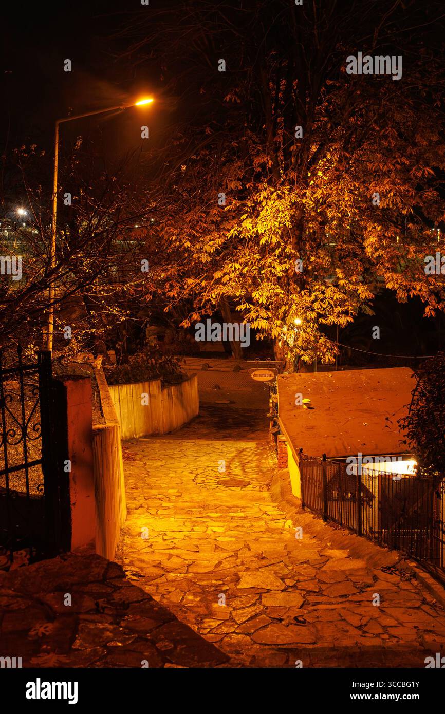 Un agnello e le scale in una splendida vista notturna del Sile, stanbul Foto Stock