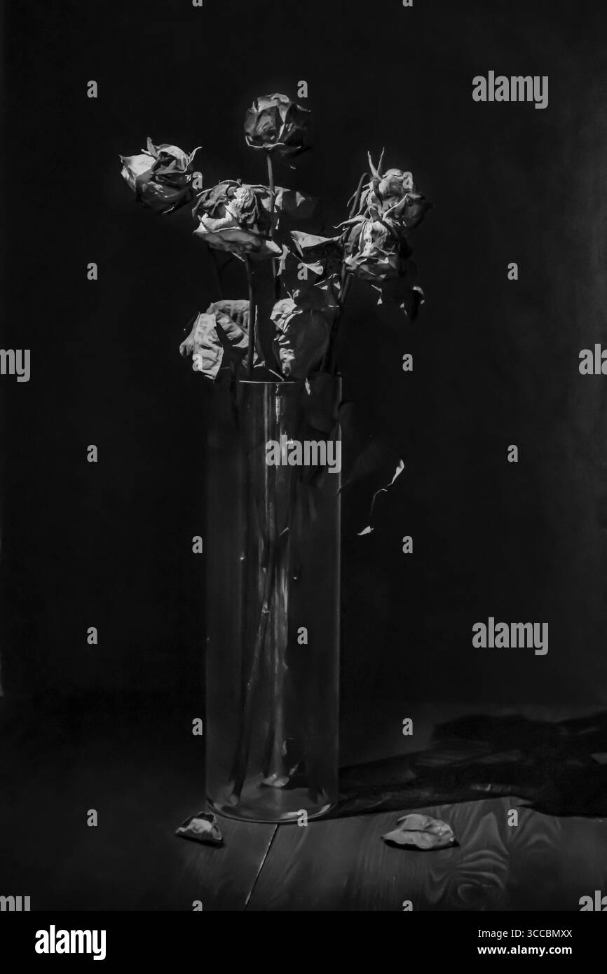 Rose asciutte su sfondo scuro. Fiori appassiti. Bianco e nero Foto Stock