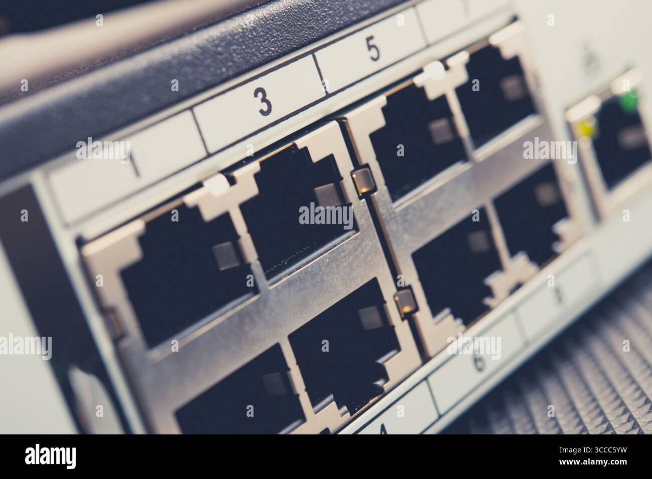 Vista ravvicinata di uno switch di rete dotato di diverse porte Ethernet, comunemente presenti negli uffici e nei data center, che facilita la connessione a Internet cablata Foto Stock