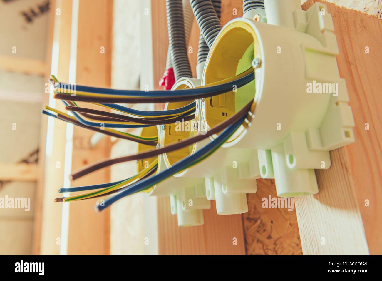 I fili elettrici sono organizzati in scatole di derivazione come parte del cablaggio domestico durante un progetto di costruzione. Questo processo garantisce la sicurezza e l'efficienza dell'ele Foto Stock