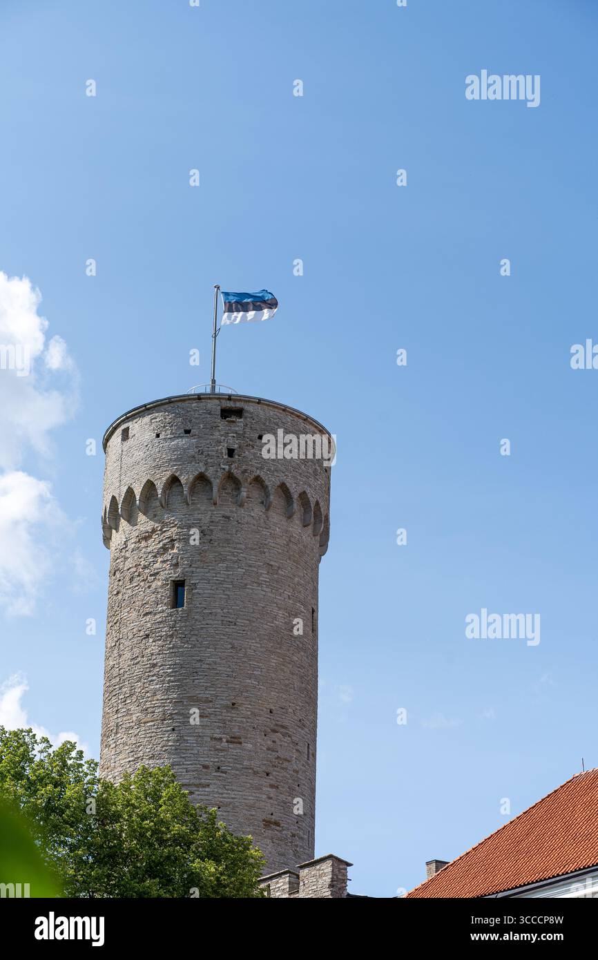 6 agosto 2025, Tallinn, Estonia – Torre Pikk Hermann con bandiera estone, parte del castello di Toompea, sede del Parlamento di Eston Foto Stock